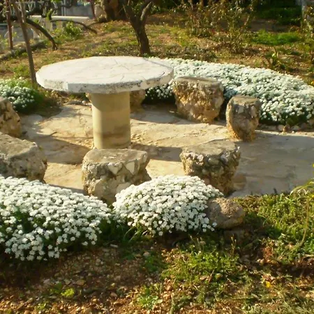 Apartamento Cozy In With House Sea View